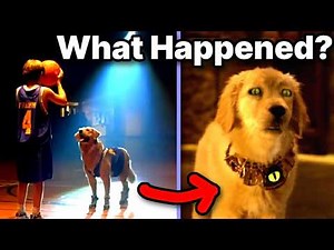 How Disney Degraded a Dead Dog's Legacy