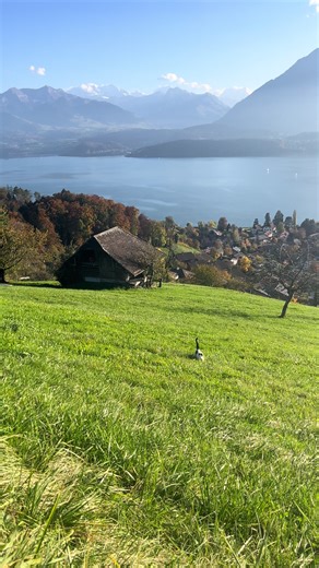 🌿 (@tayinthewild)’s videos with 500 Miles - Peter, Paul & Mary