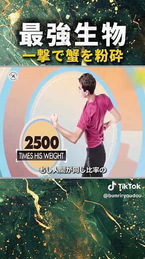 モンハナシャコの驚異的なパンチ力を検証