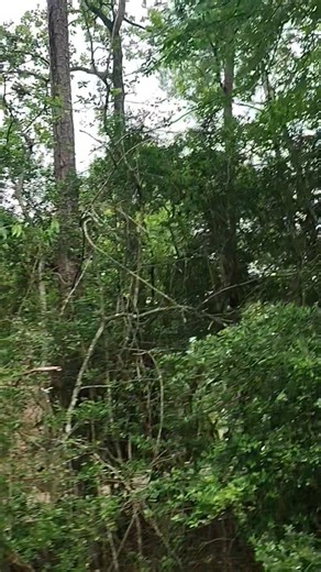 Sprinkler system walk through 💦 ain't no other way 🙏🏽❤️ Gods country #satisfying #underground #work