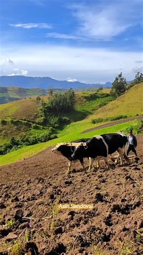 Exploring Pimampiro, Imbabura in Ecuador