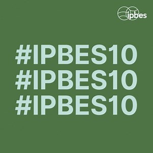 #InvasiveAlienSpecies  ❎ Are a major threat to native biodiversity & ecosystems functioning ❎ Can affect negatively human health & the economy Read more about their distribution & impacts in Europe thanks to EU Science Hub - Joint Research Centre new study:  https://europa.eu/!xf6b8m | EU Science & Innovation | Facebook