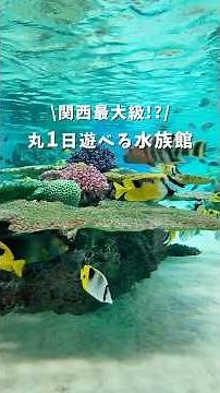【神戸須磨シーワールド】関西最大級！？丸一日遊べる水族館！#水族館 #お出かけ #デート