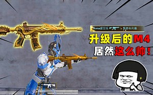 可爱的Anna：升级后的金龙太帅了！全局击杀播报，这才叫排面！