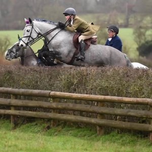 TOP CLASS 14.2 PONY 14.2hh, 7yo, Connemara Mare. Super scopey & an easy ride. In British Showjumping she’s qualified for second round (2024) British Novice & Discovery. She trail hunted all last season with The Heythrop & she’s competed in hunter trials & arena Eventing. She never looks at any type of jump. She has lovely paces, no vices & she’s sound with no medical issues. This pony has the potential to excel in any discipline. For further information / contact details please click the link be