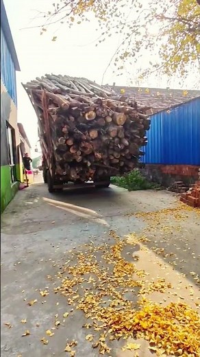 Watch this heavy truck efficiently dump a massive load of logs!