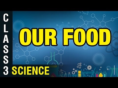 Our food | 3rd Class General Science | Digital Teacher