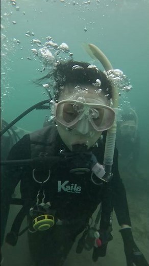 千葉・館山沖ノ島で親子3名の体験ダイビング！透明度低めでも魚影が濃く初心者も安心して楽しめる一日 #沖ノ島 #ダイビング #沖ノ島ダイビングサービスマリンスノー