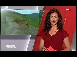 Anne Willmes - WDR Lokalzeit - 29. May 2017