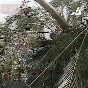 3.4K views · 47 reactions | The 1992 documentary 'Hurricane Andrew:...