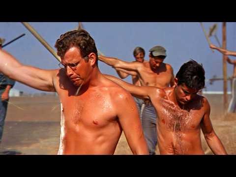 Cool Hand Luke (1967) Full Movie Explained | Classic Prison Story