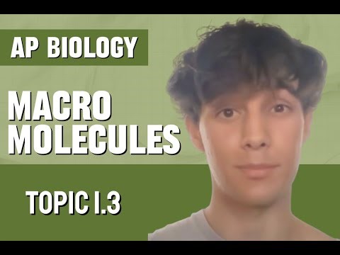 Introduction to Macromolecules [AP Biology Review Unit 1 Topic 3]