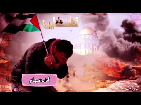 #أنا فلسطين..... فمن أنتم؟ 🇵🇸💚