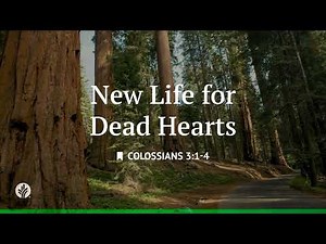 New Life for Dead Hearts | Audio Reading | Our Daily Bread Devotional | July 30, 2026