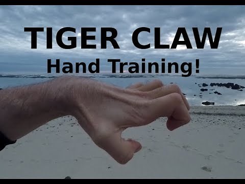 Tiger Claw Kung Fu - Hand Position and Conditioning!