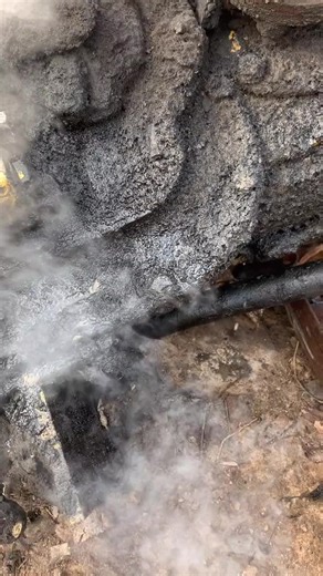 FCN.FM Steam Cleaner on TikTok