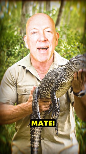 G’DAY MATE! 🐊