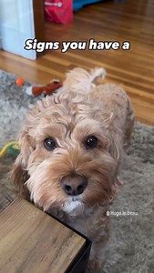 25K views · 14K reactions | The bath time transformation thought ...