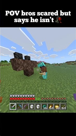 What a scaredy cat 🙀#minecraft#viral#fyp#wither#gaming