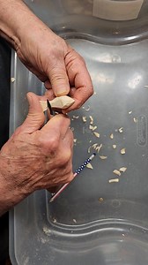 A 5 min whittle of a small Cardinal from one of my basswood cut-outs. I carve 4 different sizes that I use in Christmas ornaments. They are all carved in the same manner. | John Hein Woodcarver