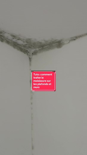 How to Clean Mold from Ceilings and Walls