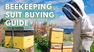 Best Beekeeping Suit: 12 Options, Reviewed