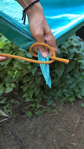 This Knot Will be Useful❗️
