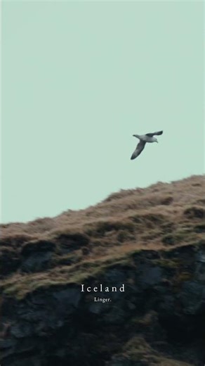 Do you know how romantic Iceland is? #waterfalls #iceland #nature #playlist #romantic #music