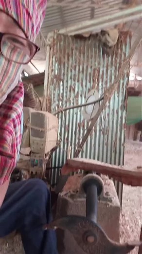 Máy Chạy Bộ: Trải Nghiệm Đầy Cuốn Hút