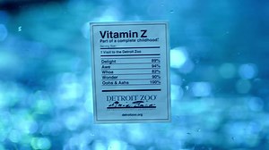 1.6K views · 17 reactions | A visit to the Detroit Zoo is part of a complete childhood! Stop by the Polk Penguin Conservation Center this winter for an inspiring dose of Vitamin Z. | Detroit Zoo | Facebook