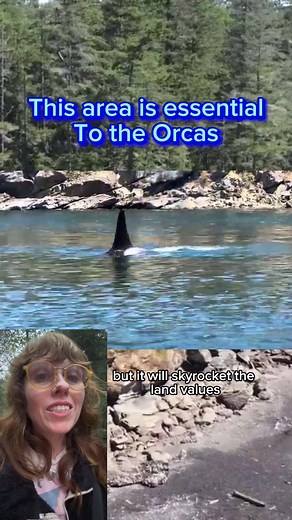 Protecting Wildlife Habitats: Saving Cable Bay and Preserving Nature