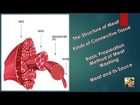 #CooBaServ I What are the Structure of Meat