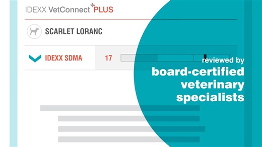 What is your go-to diagnostic for fast effective clinical decision making? We choose VetConnect Plus, it allows you to access differential diagnoses to help interpret patient results! Learn more here https://bddy.me/2SLRDYl | IDEXX | Facebook