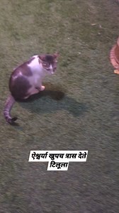 6.4K views · 300 reactions | Neeta Kumbhar on Reels | Facebook