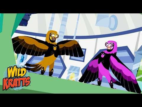 Transforming Into a Parrot | Creature Transformations | Wild Kratts