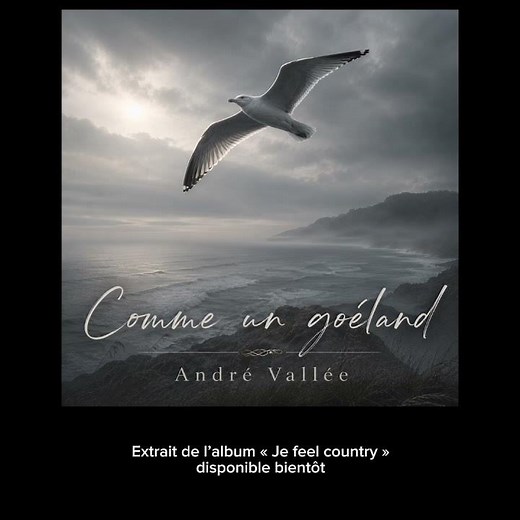 Comme un goéland | André Vallée
