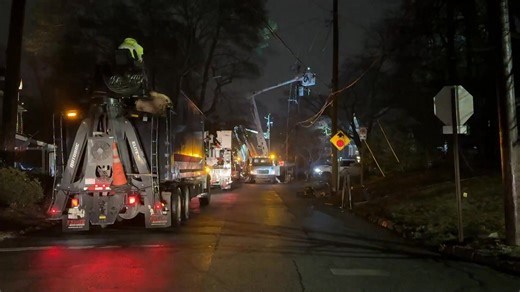 Georgia power now up in buckets as they continue to work on restoring power where the huge tree fell | Alison Mastrangelo