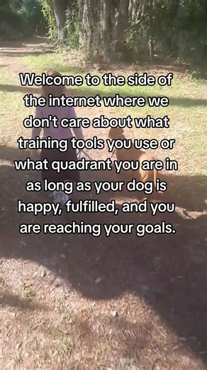 So many of our training arguments are completely futile. They don't actually lead to a better understanding of dogs or better training methods, they are about egos rather than dogs. Making blanket statements about quadrants or tools is stupid. The reality is so much more complicated. For example, this is a very common scenario I've seen so many times: the dog was corrected for something, then immediately gotten rewarded for stopping that behavior. At first, the dog didn't like the sensation, and