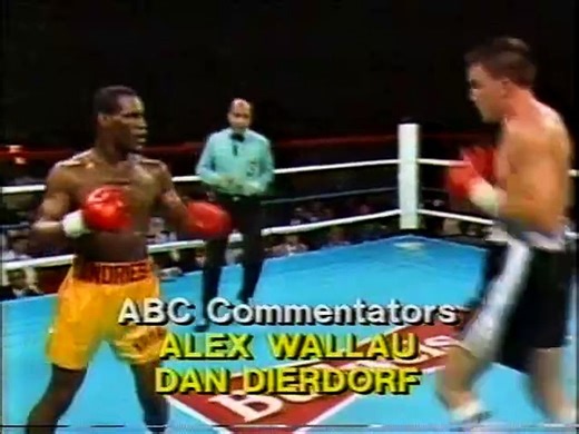 Dennis Andries vs Jeff Harding 1 - boxing - WBC light heavyweight title