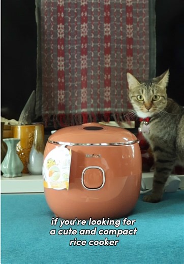 Chipping in at home just got easier 🍚✨ Tefal POP 0.7L Fuzzy Logic Rice Cooker is my small but mighty upgrade — perfect for compact kitchens, solo cooking, or small family. ✔ 8 Preset Programs: Rice, soup, cake & more ✔ 0.7L capacity – just right for 1–3 pax ✔ NFC function for easy recipe access ✔ 24-hour preset timer ✔ Non-stick pot = no soaking, easy cleanup ✔ Modern, space-saving design A cooker that fits my lifestyle and my kitchen 💛 @Tefal Singapore #TefalSG #TefalSingapore #TefalPOP #Fuzz