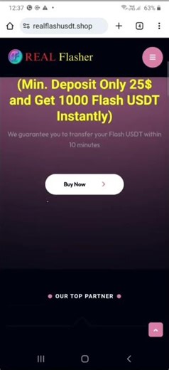 Transfer Flash USDT Online Instantly Real Flasher