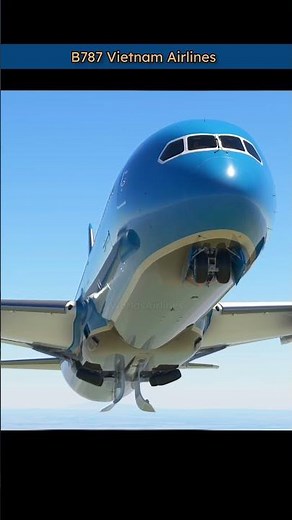 Boeing 787 Vietnam Airlines Showcases Stunning Landing Gear Action!