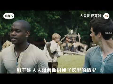 “Trapped in the Bubble — The Last Escape Attempt”