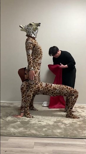 Giraffe tablecloth pulling🦒🦒🦒