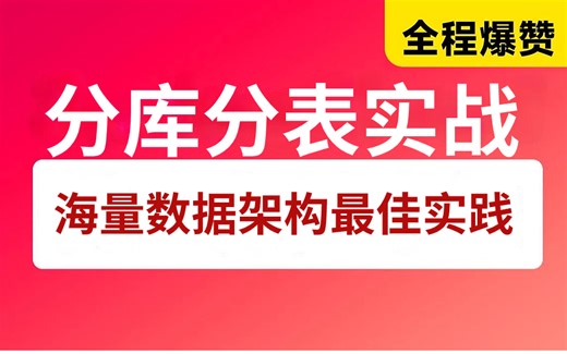 B站强推！这可能是全网唯一一个把分库分表架构讲的如此通俗易懂的教程！一天全部讲完！