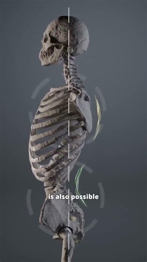 Your posture is actually a reflection of how your nervous system manages load.