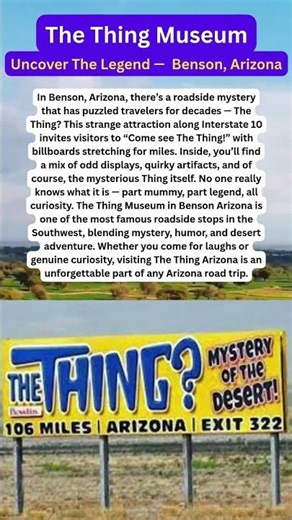 The Thing Museum — Weird, Wild, and Unforgettable! | Uncover The Mysterious Museum #shorts #usa