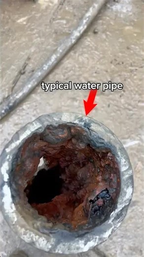 Is tap water safe to drink?