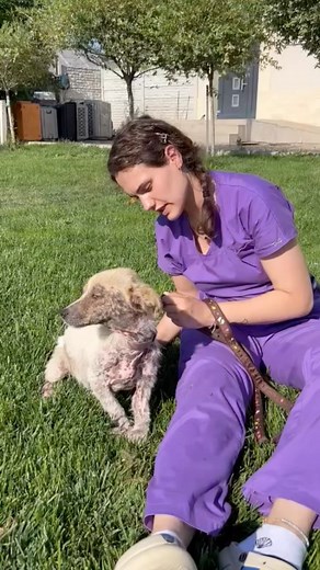 93 reactions · 11 shares | Safe now at Center of Hope hospital Romania | Romania Animal Rescue, Inc Dba Animal Spay Neuter International | Facebook