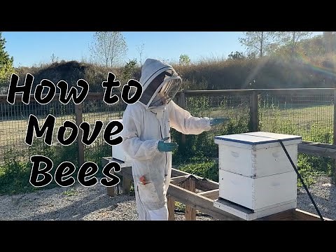 BEEKEEPING: How to Move Bees ANY Distance